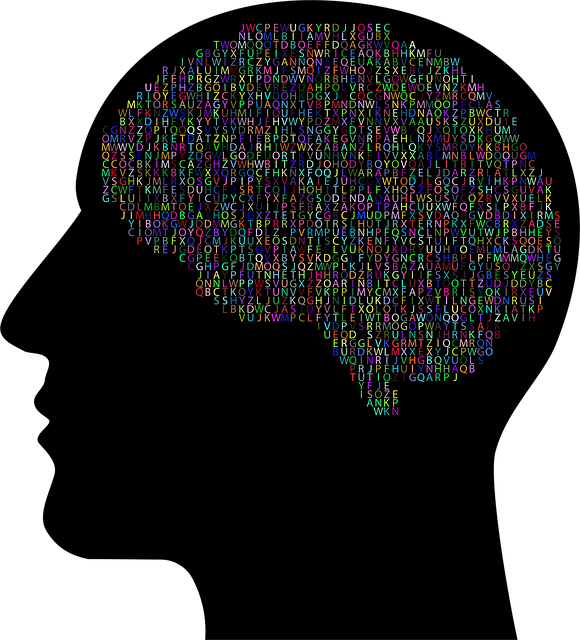 Free cranium nature head vector