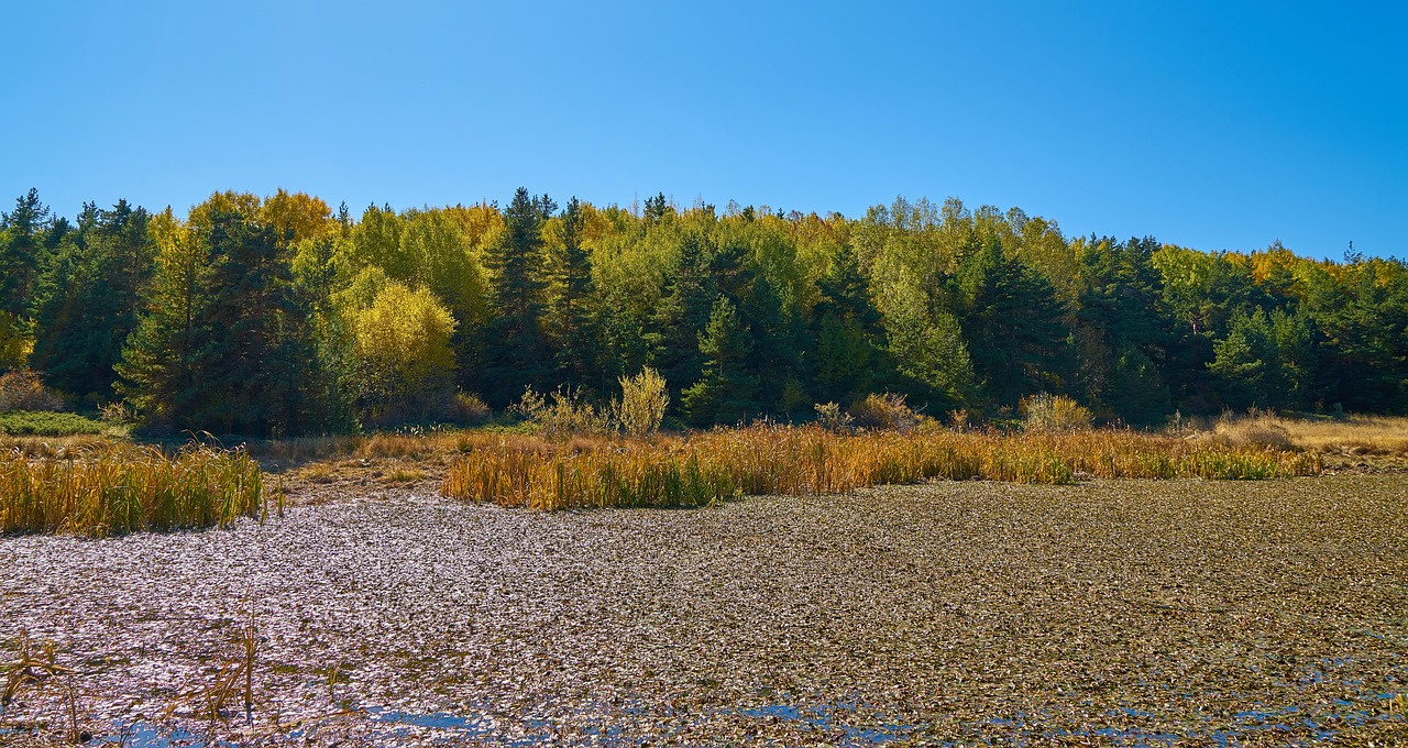 Autumn Season View - Free photo on Pixabay