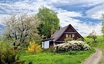 spring cottage, nature, flower
