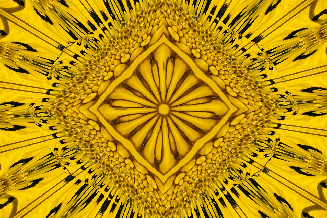 Download free HD stock image of Pattern Petals Free pattern petals pipes illustration