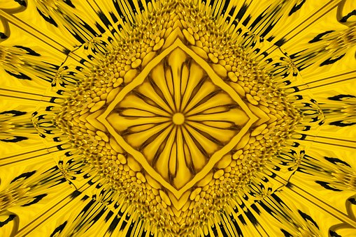 Free Pattern Petals illustration and picture