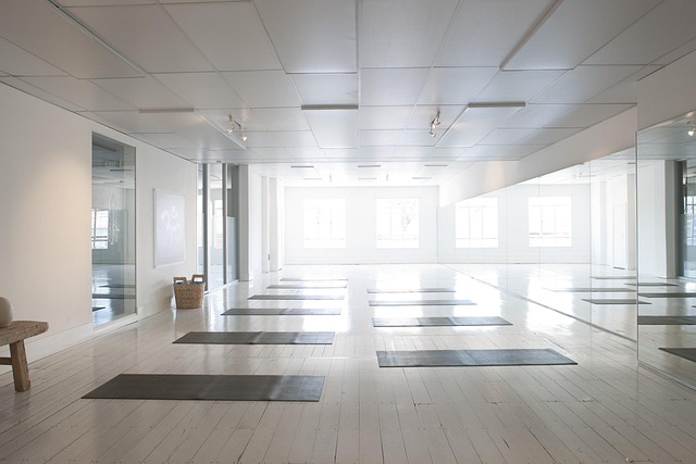 Free Yoga Studio Shot photo and picture