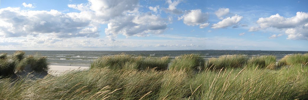 Free Greifswald Bodden photo and picture