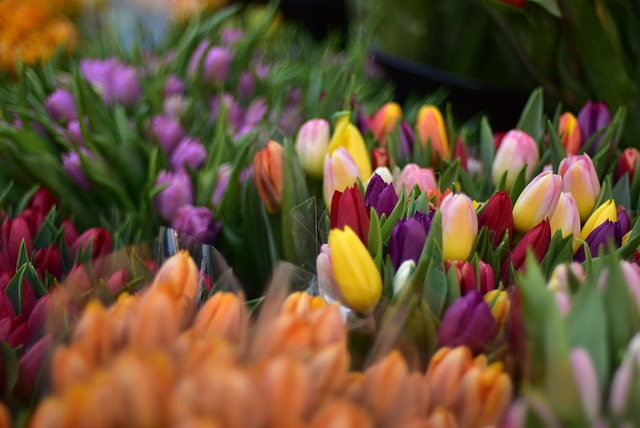 Blumen, Blumenstrauß, Blumenstrauss