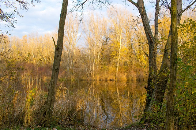 Free Autumn Lake photo and picture