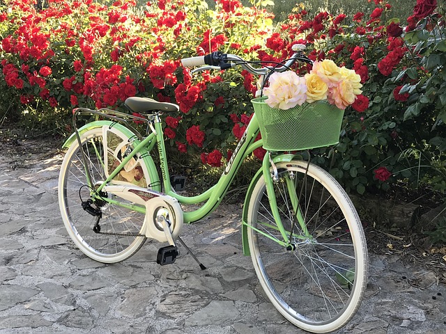 Free Bike Flowers photo and picture