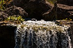 water, bach, nature