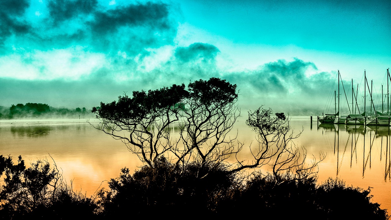Trees - free online jigsaw puzzle photo