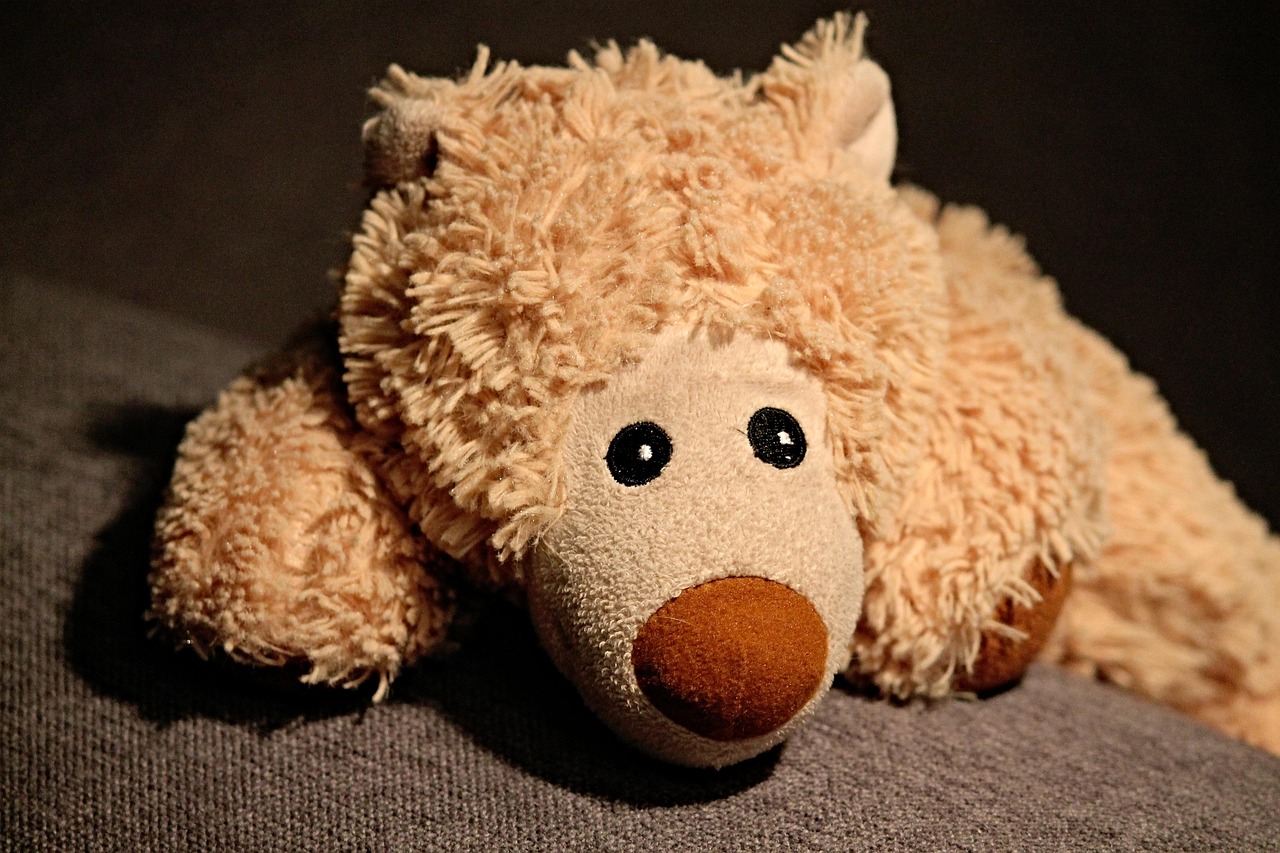 Animal En Peluche Ours - Photo gratuite sur Pixabay - Pixabay