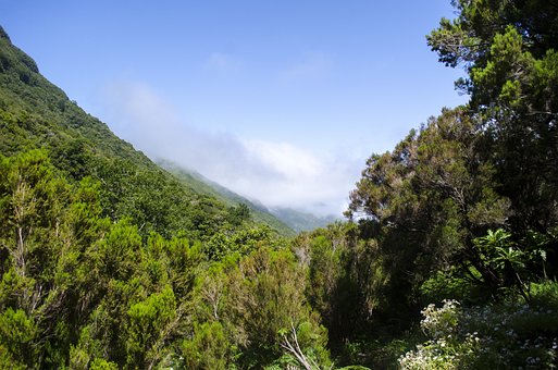 Free Madeira Mountains photo and picture