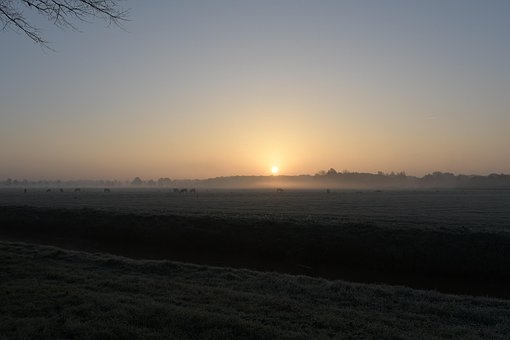 Lys, Morgen Lys, Solopgang, Sol, Tåge