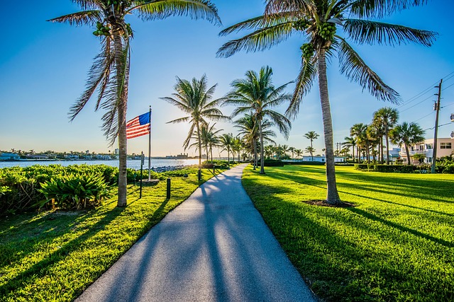 Free Flag Sun photo and picture