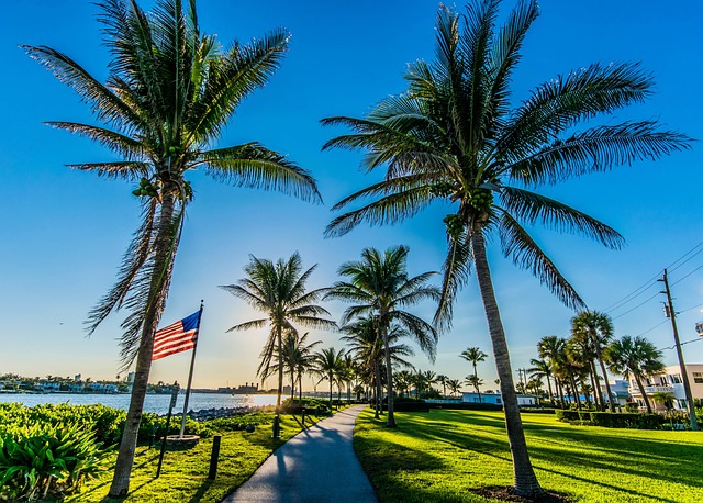Free Flag Sun photo and picture