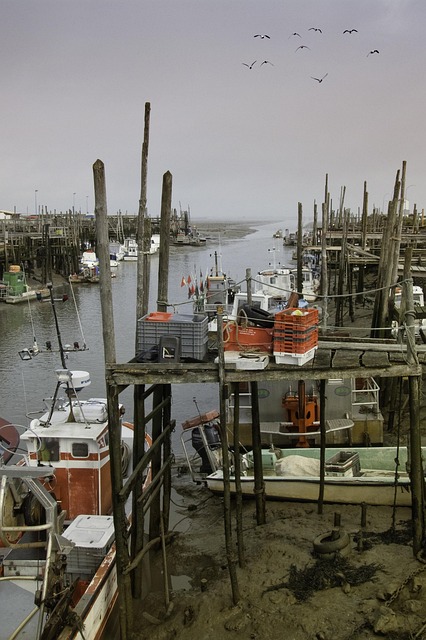 Free Sea Port photo and picture