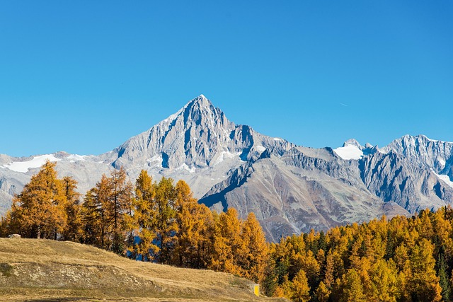 Natureza, Alpes, Valais, Bidschhorn