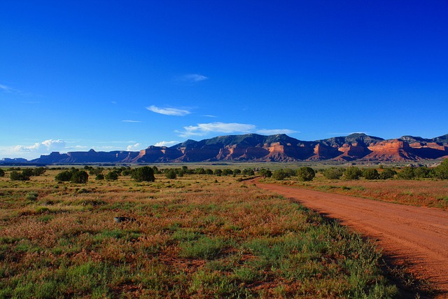 Cesta, Monument Valley, Arizona