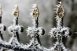 winter mood, rime, frost