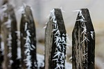 frosty fence, frost, winter