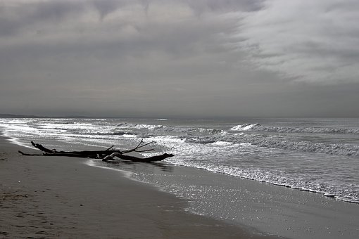 Ocean, Bucht, Neuseeland, Wasser