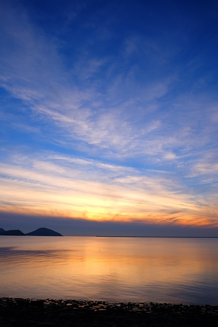 Free In The Evening Glow photo and picture