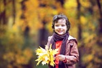 park, autumn, autumn park