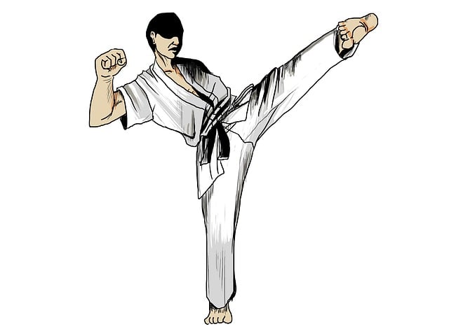 Free Karate Martial Arts illustration and picture