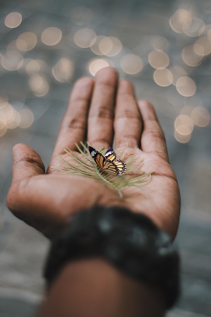 Free Hand Butterfly photo and picture