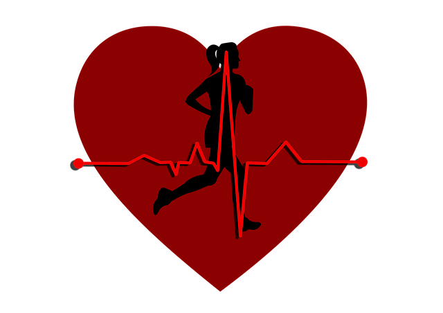 Free heart pulse circuit illustration