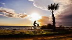 afternoon, landscape, scenery