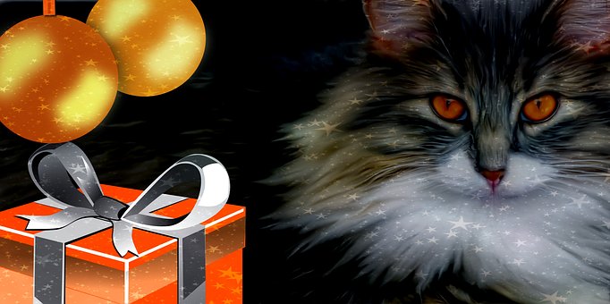 Free Christmas Present illustration and picture