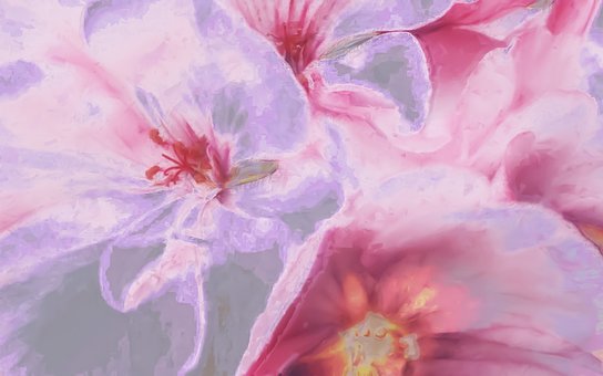 Free Flowers Painting photo and picture