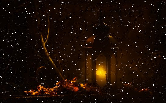 Free Lantern Night photo and picture