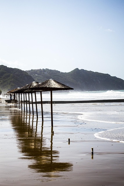 Free Beach Morning photo and picture