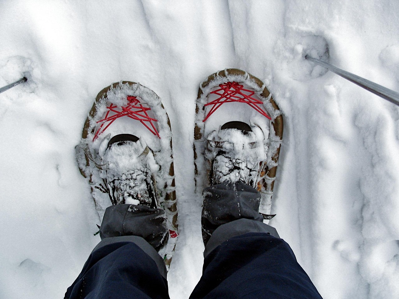 snowboot