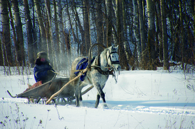 Free Russia Siberia photo and picture