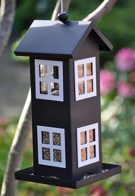 Free Bird Food Foderhus photo and picture