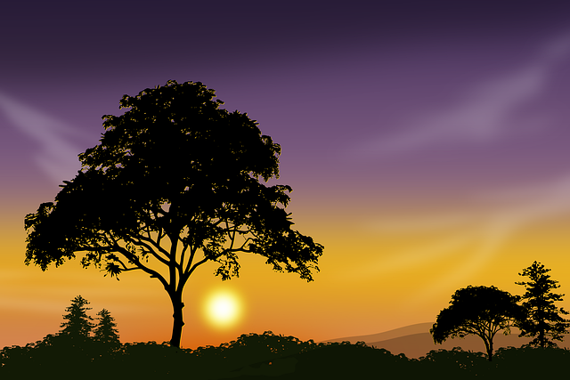 Landskap, Eventide, Himmel, Natur, Sol