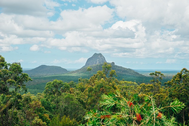 Free Australia Sunshine Coast photo and picture