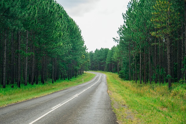 Free Australia Sunshine Coast photo and picture