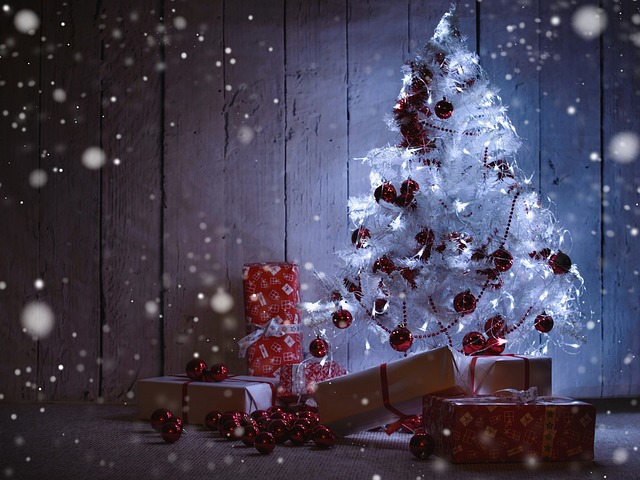 Advento, Abeto, Árvore De Natal