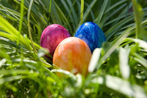 Free Easter Eggs photo and picture