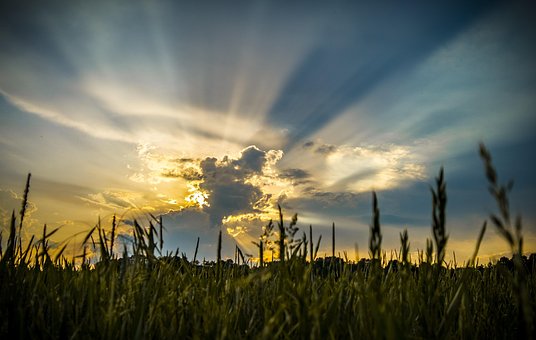 Free Cloud Sun photo and picture