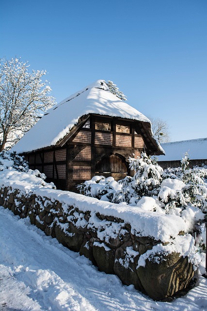 Free Snow Truss photo and picture