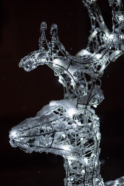 Rendier, Sneeuw, Led