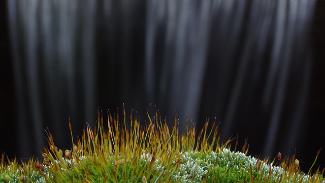 Free Light - Natural Phenomenon photo and picture