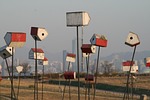 scenery, mail box, tidings