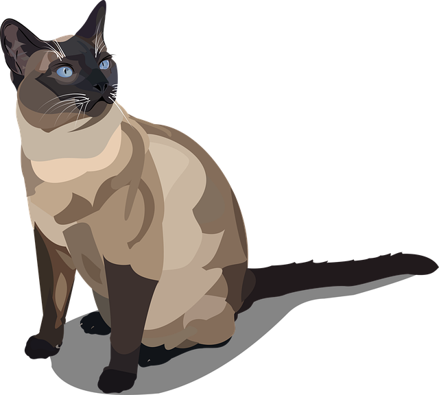 Free Cat Pet vector and picture