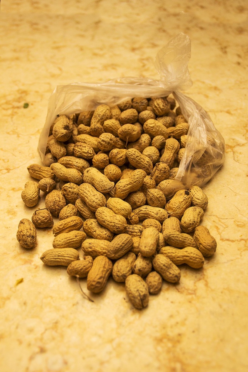 Peanut Peanuts Dried Fruits - Free photo on Pixabay - Pixabay