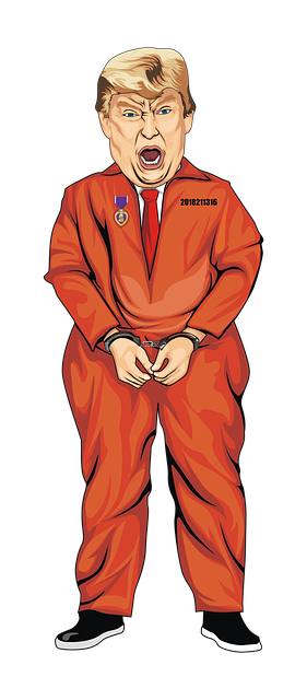 Trump, Orange, Suite, Trump, Trump