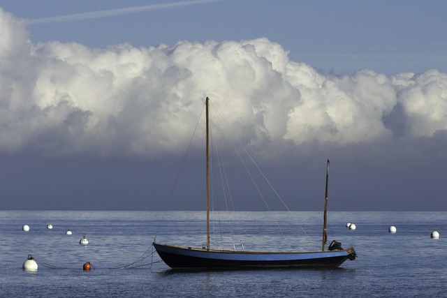 Free Sea Boat Buoys photo and picture